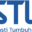 PT Swasti Tumbuh Lestari Logo